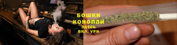 ПСИЛОЦИБИНОВЫЕ ГРИБЫ Краснотурьинск