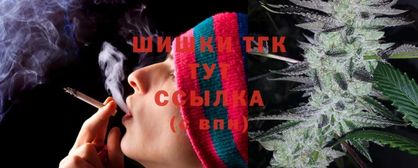 ПСИЛОЦИБИНОВЫЕ ГРИБЫ Краснотурьинск